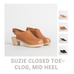 ISO bryr suzie clogs 😻